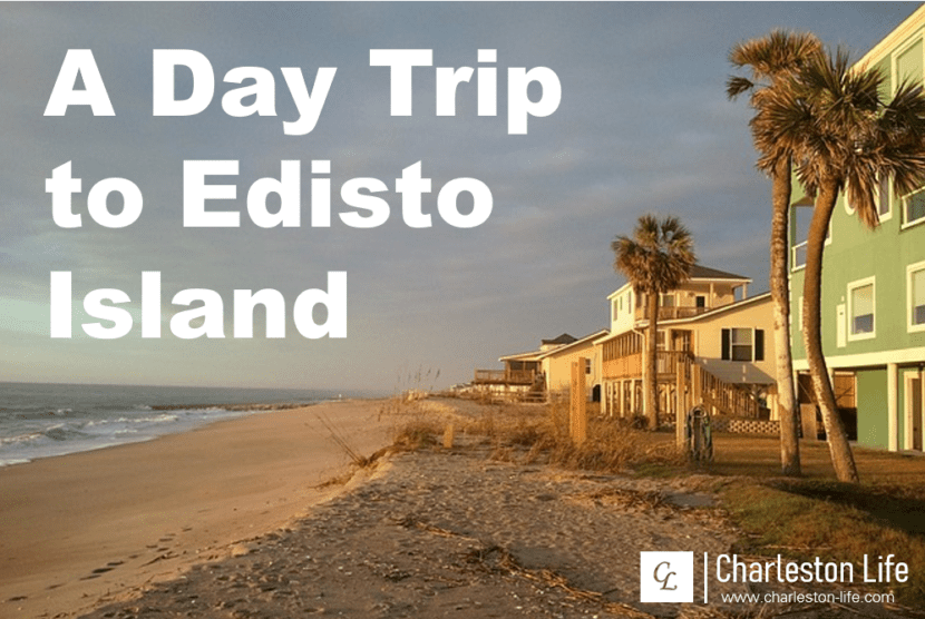 Planning a Day Trip to Edisto Island