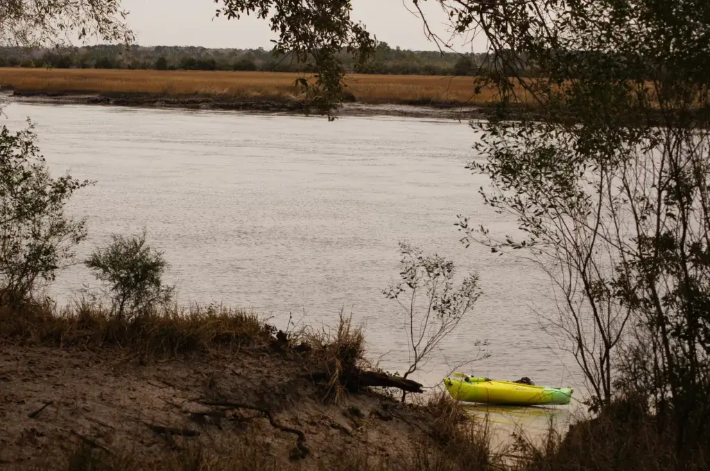 Kayaking to Wolf Island on the Stono River in Charleston, SC
