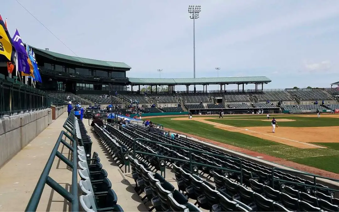 Going to a Charleston RiverDogs Game: Tips and Tricks for a Great Experience