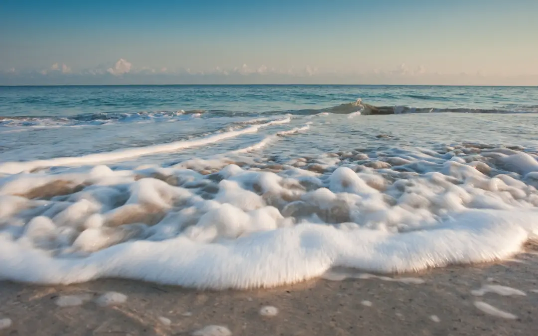 Tides, Swell & Wind: What to Know When Boating or Kayaking in Charleston