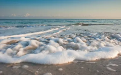 Tides, Swell & Wind: What to Know When Boating or Kayaking in Charleston
