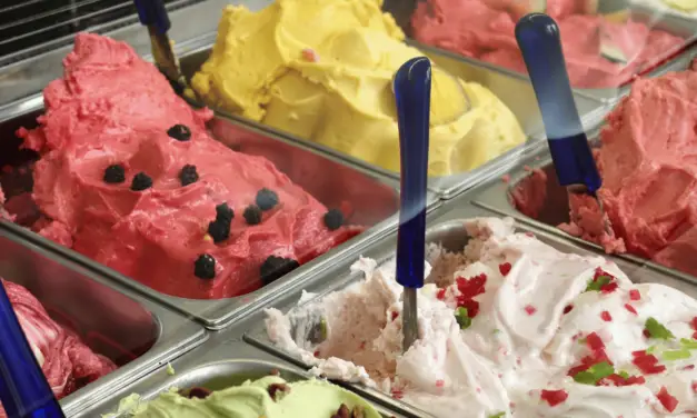 Best Ice Cream in Charleston SC: Top Spots for Delicious Treats