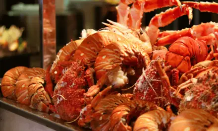 Best Seafood Buffet Myrtle Beach: Top Picks for Fresh, All-You-Can-Eat Dining